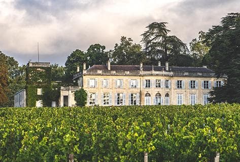 Foto des Partnerweinguts Château du Taillan