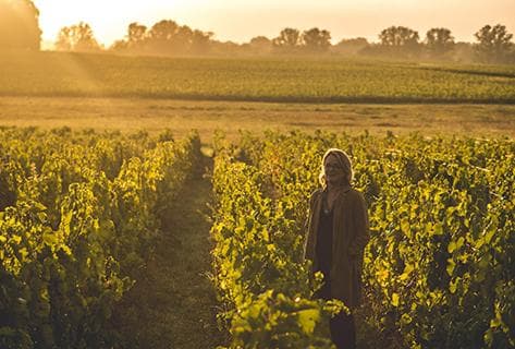 Château du Taillan - 3