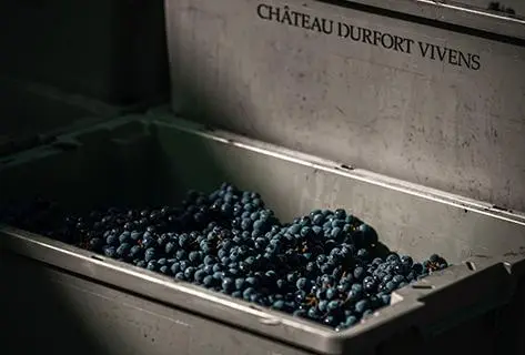 Château Durfort Vivens - 2