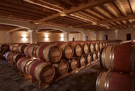 Château Grand Corbin Despagne - 4