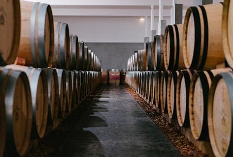 Château Grand Puy Ducasse - 4