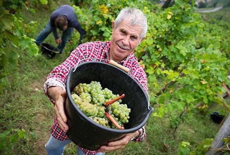 Château-Grillet - 2