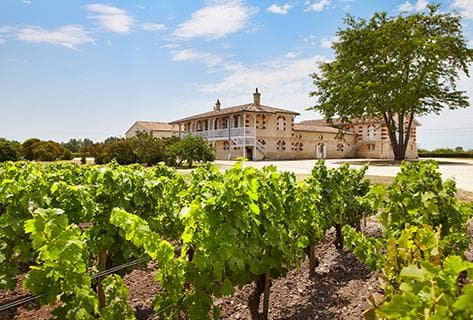Château Haut Batailley - 1