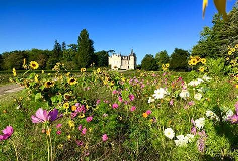 Château Haut-Bergey - 4