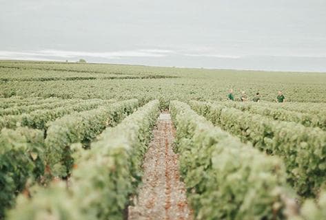 Château Haut-Brion - 2