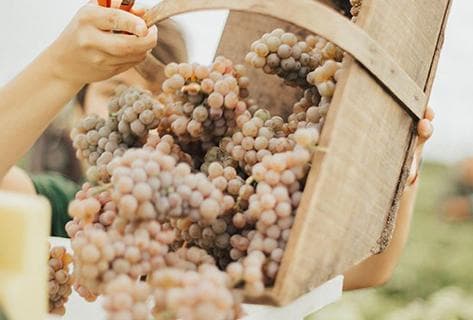 Château Haut-Brion - 3