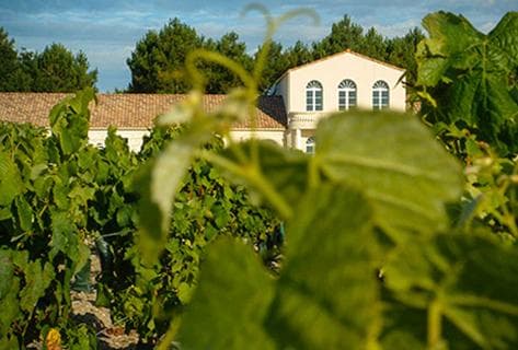 Photo du domaine partenaire Château Haut Marbuzet