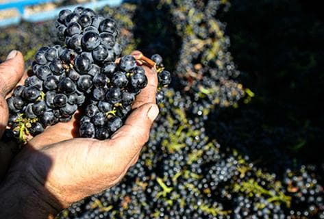 Château Haut Marbuzet - 2