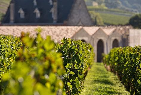 Château la Gaffelière - 2