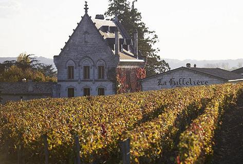 Château la Gaffelière - 3