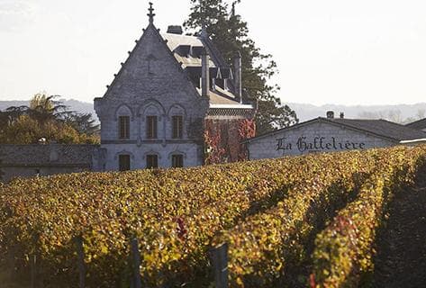 Château la Gaffelière - 3