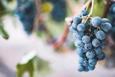 Château la Tour Figeac - 2