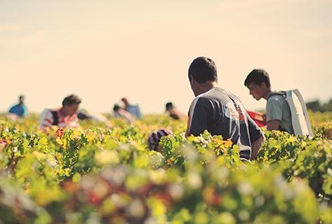 Château Lafon Rochet - 2
