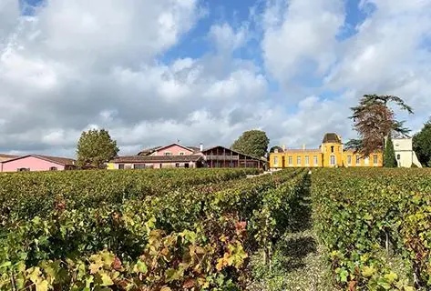 Château Lafon Rochet - 3