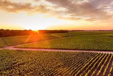 Photo of partner producer Château Lagrange