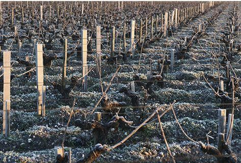 Château Langoa Barton - 1