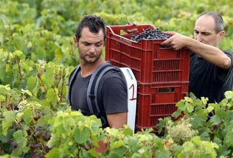 Château Lascombes - 1