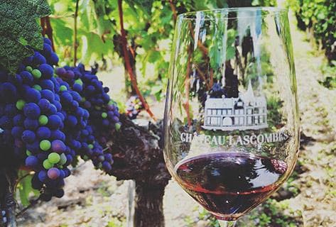 Château Lascombes - 4