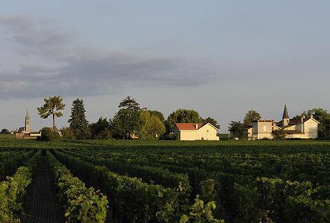 Château Latour à Pomerol - 4