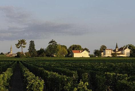 Château Latour à Pomerol - 4