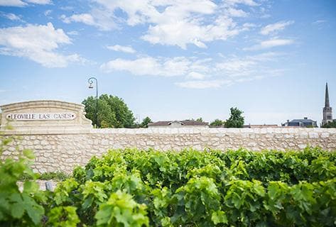 Château Léoville Las Cases - 1