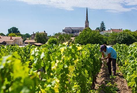 Château Léoville Las Cases - 3