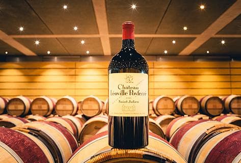 Château Léoville Poyferré - 4