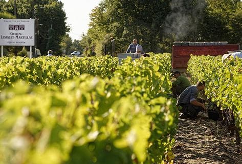 Château Lespault-Martillac - 2