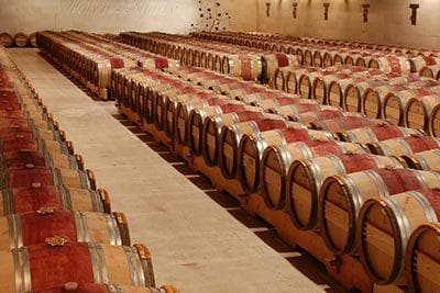 Château Maison Blanche - 4