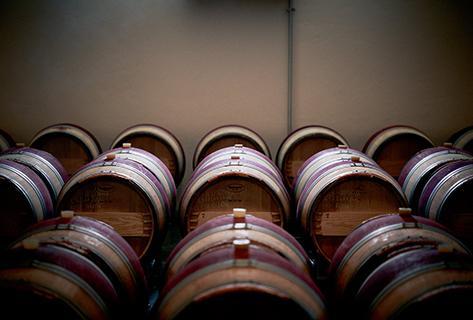 Château Malartic-Lagravière - 4