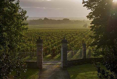 Château Malescasse - 2