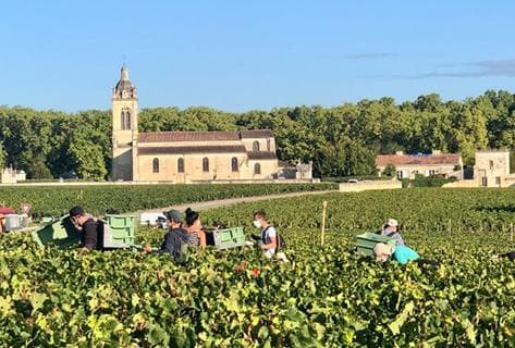 Château Margaux - 1