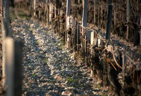 Château Margaux - 4