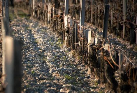 Château Margaux - 4