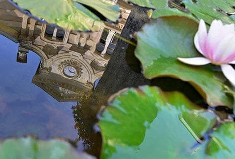 Château Maucaillou - 4