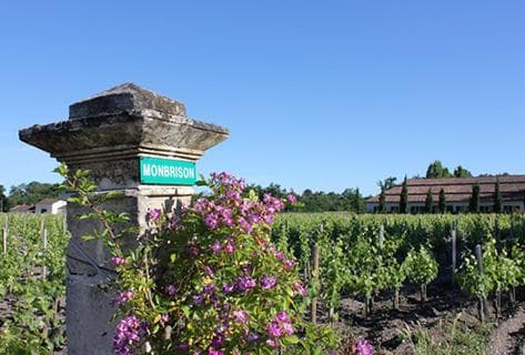 Château Monbrison - 2