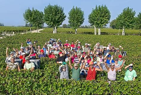 Château Montrose - 2