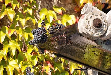 Château Moulin Pey-Labrie - 2