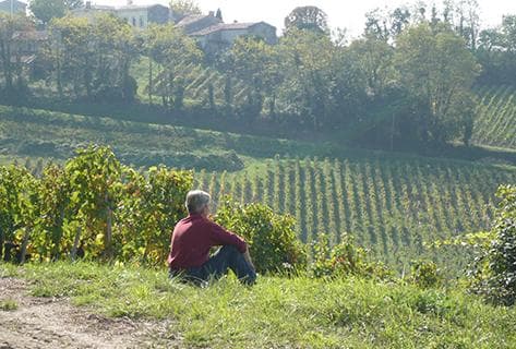 Château Moulin Pey-Labrie - 4