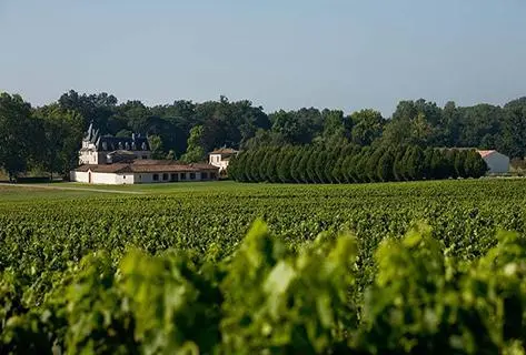 Château Olivier - 3