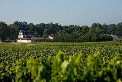 Château Olivier - 3