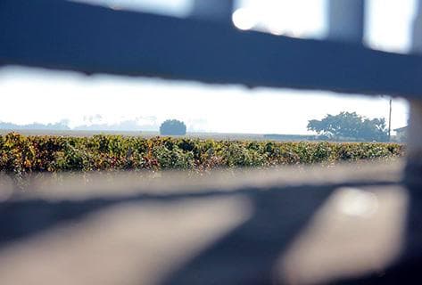 Château Paveil de Luze Cru Bourgeois Exceptionnel - 2