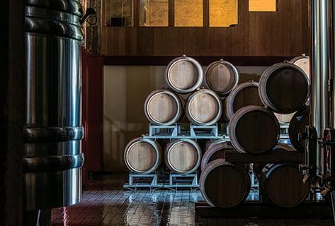 Château Paveil de Luze Cru Bourgeois Exceptionnel - 4