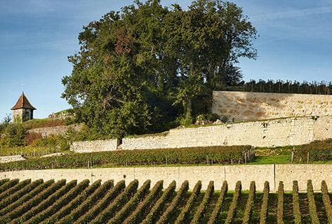Château Pavie - 4