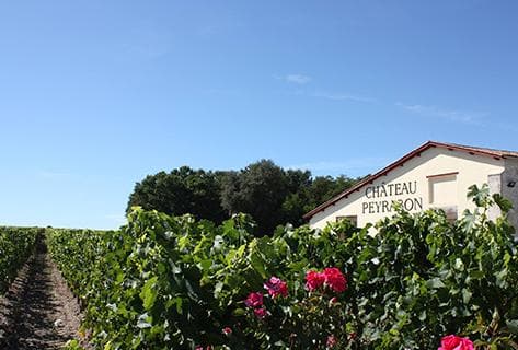 Château Peyrabon - 1