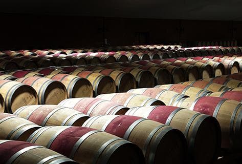 Château Peyrabon - 4