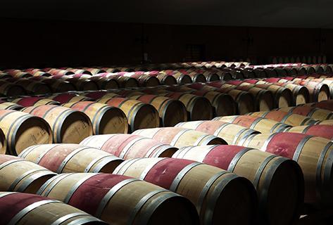 Château Peyrabon - 4