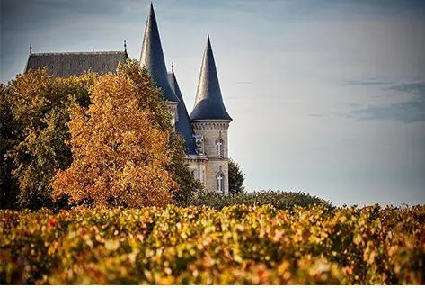 Château Pichon Longueville Baron - 2