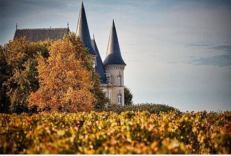 Château Pichon Longueveille Baron - 2