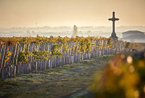 Château Pichon Longueville Baron - 3